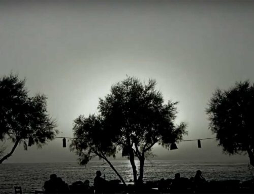 The Honest Trees of Patmos